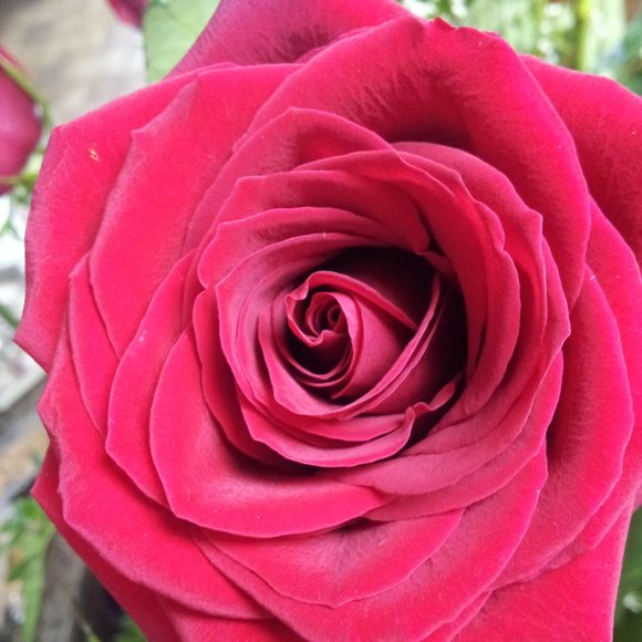 Make me an offer - Picture 3 of 7